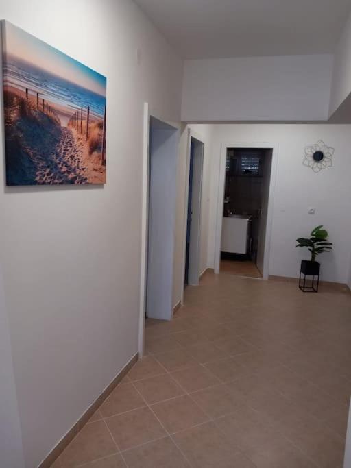 Apartment Dora-100M From The Central Beach Makarska Exterior photo